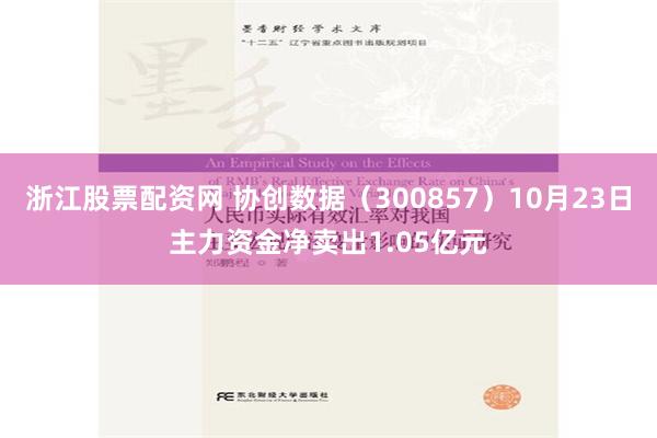 浙江股票配资网 协创数据（300857）10月23日主力资金净卖出1.05亿元