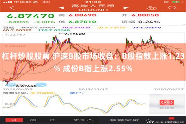 杠杆炒股股票 沪深B股市场收盘：B股指数上涨1.23% 成份B指上涨2.55%