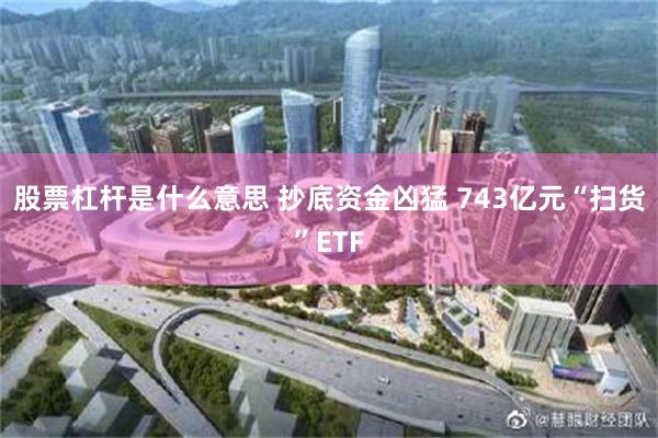 股票杠杆是什么意思 抄底资金凶猛 743亿元“扫货”ETF