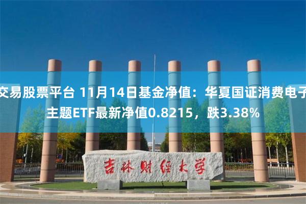 交易股票平台 11月14日基金净值：华夏国证消费电子主题ETF最新净值0.8215，跌3.38%