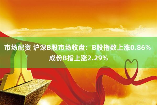 市场配资 沪深B股市场收盘：B股指数上涨0.86% 成份B指上涨2.29%